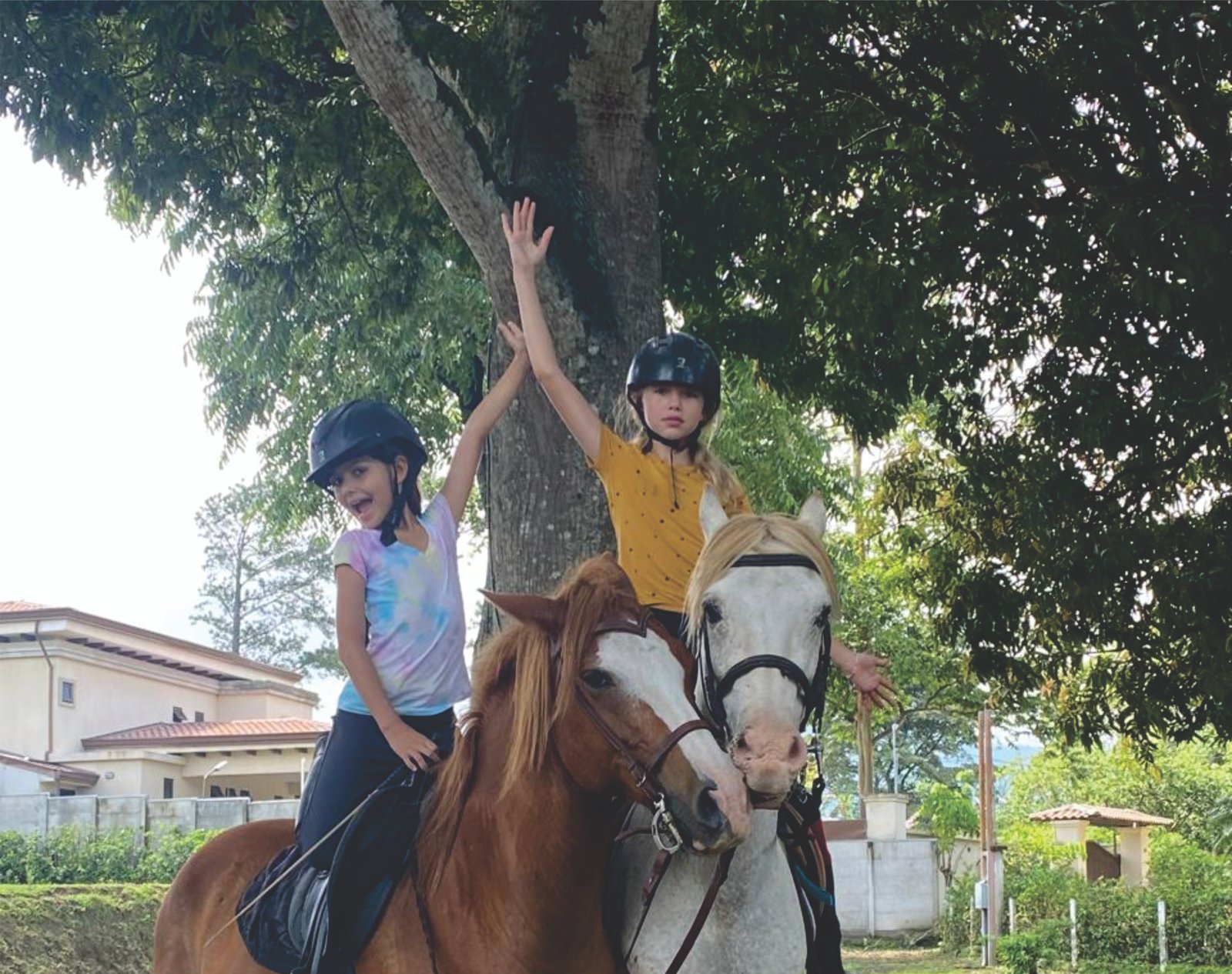 Relación de confianza con el caballo