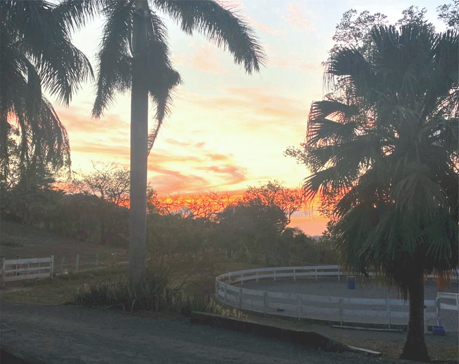 Familia interactuando con caballo