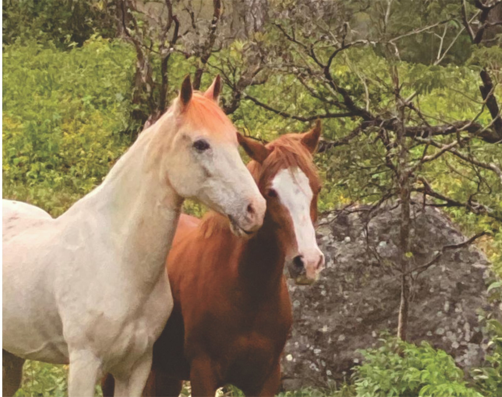 Caballo mediando entre personas
